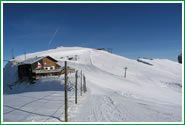 Andalo